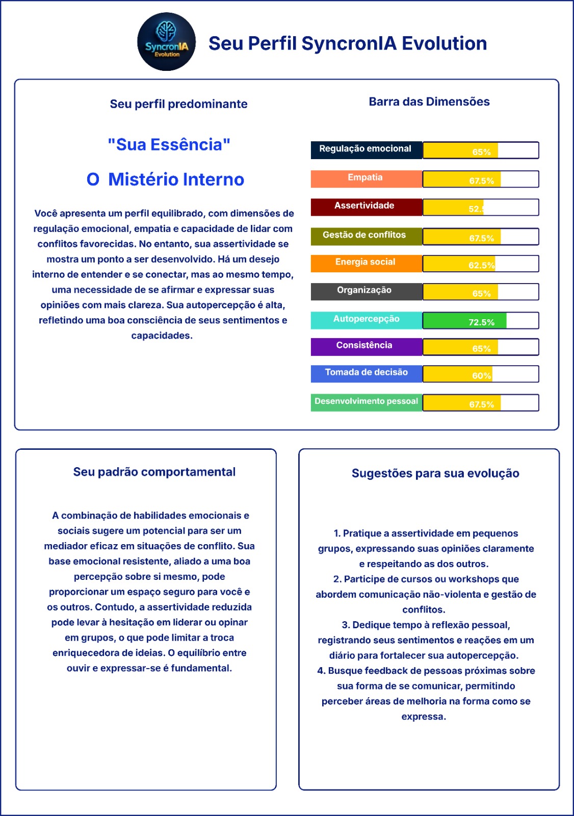 Relatório do Perfil Syncron'IA Evolution